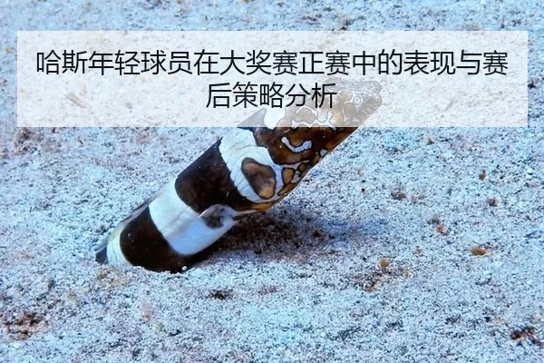 ha-si-nian-qing-qiu-yuan-zai-da-jiang-sai-zheng-sai-zhong-de-biao-xian-yu-sai-hou-ce-lve-fen-xi-2-127.jpg